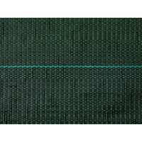 Kép 4/6 - 25 x 10 m