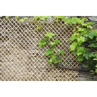 Kép 1/4 - WICK TRELLIS - Természetes, hántolt vesszőből készült fonott apácarács 0,50 x 1,50 m natúr