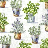 Kép 1/3 - Aromatic herbs fűszernövényes szalvéta 3 rétegű 20 db/csomag