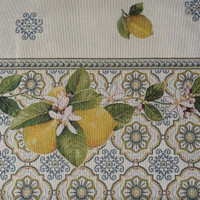Kép 3/5 - Citromos gobelin asztalterítő Natúr 100x100 cm - 5 cm 2
