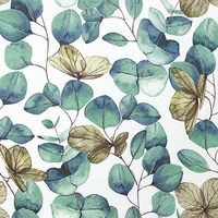 Kép 1/3 - Eucalyptus szalvéta 3 rétegű 20 db/csomag