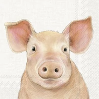 Kép 1/2 - Farm pig malacos szalvéta 3 rétegű 20 db/csomag