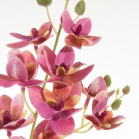 Kép 2/2 - orchidea-muvirag-rozsaszin-kozeli