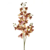 Kép 1/2 - orchidea-muvirag-sarga-hs423844