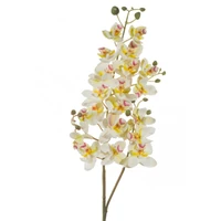 Kép 1/2 - orchidea-muvirag-feher-hs423845
