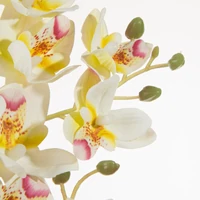 Kép 2/2 - orchidea-muvirag-feher-kozeli
