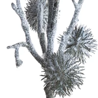 Kép 2/2 - natura-403-munoveny-oszi-es-teli-dekoraciohoz-zold-kozeli