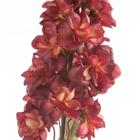 Kép 2/2 - tulipan-413-bordo-hs451545 1