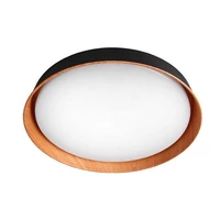 Kép 2/5 - MasterLED XUDO 54W 3000-6500K 400x85 mm fekete/tölgy színű mennyezeti lámpa távirányítóval