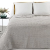 Kép 4/8 - lisa-puha-pluss-takaro-ezust-130-x-170-cm-hs452795 1