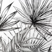 Kép 3/9 - Paloma prémium ágyneműhuzat Fehér 160x200 cm - 70x80 cm 2db 6
