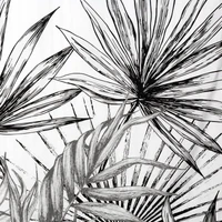 Kép 2/9 - Paloma prémium ágyneműhuzat Fehér 220x200 cm - 70x80 cm 2db 6