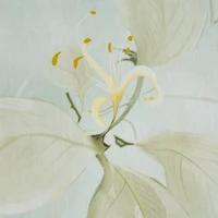 Kép 6/7 - Reina58 pamut-szatén ágyneműhuzat Menta 160x200 cm - 70x80 cm 2db 4