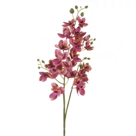 Mű orchidea