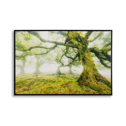 Falikép lakkozott erdei részlet kerettel 90x4x60 cm