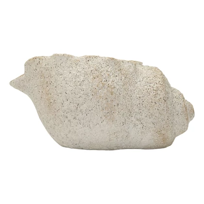 Kagyló formájú váza homokkő hatás bézs -B- 35X23X18 cm