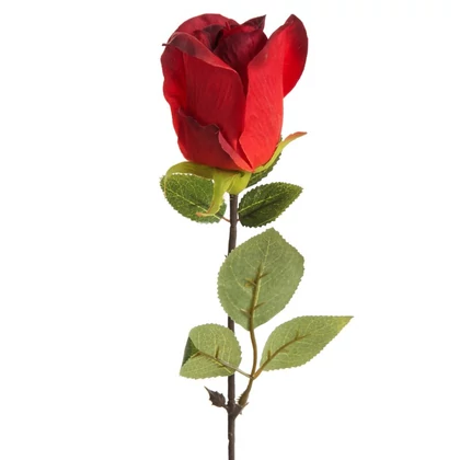 Rózsa 430 Piros