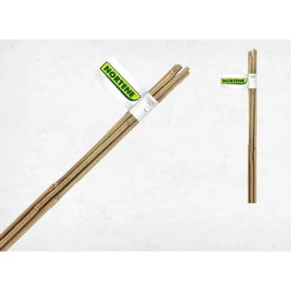 BAMBOO - Bambusz termesztő karó, kötegekben 2,1 m bambusz