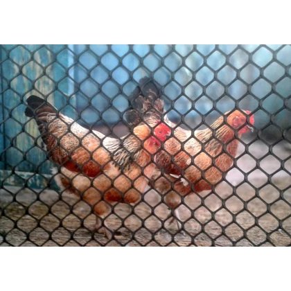POULTRY MESHES (B-92) - Műanyag baromfirács 0,9 x 25 m fekete (20 x 20 mm)