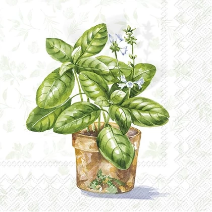 Aromatic herbs fűszernövényes szalvéta 3 rétegű 20 db/csomag - koktélszalvéta