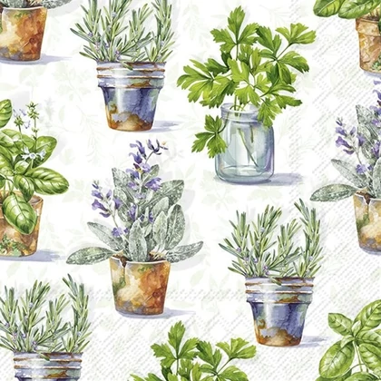 Aromatic herbs fűszernövényes szalvéta 3 rétegű 20 db/csomag
