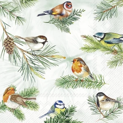 Charming birds madaras szalvéta 3 rétegű 20 db/csomag