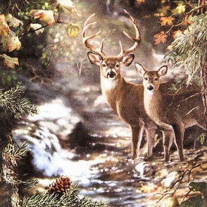 Deers on a Creek szalvéta 3 rétegű 20 db/csomag