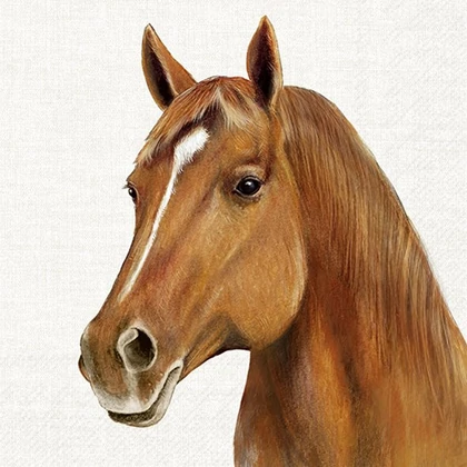 Farm horse lovas szalvéta 3 rétegű 20 db/csomag