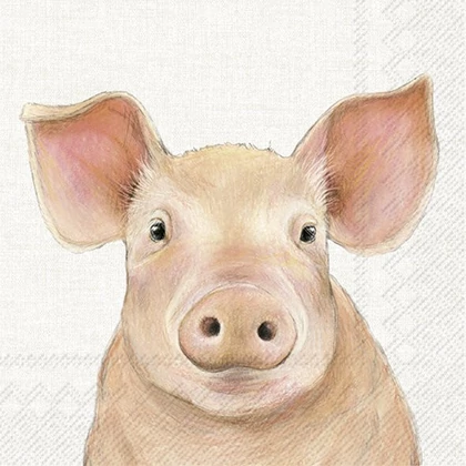 Farm pig malacos szalvéta 3 rétegű 20 db/csomag