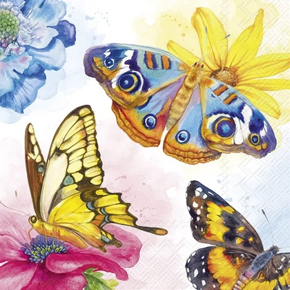 Garden beauties pillangós szalvéta 3 rétegű 20 db/csomag