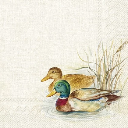 Hunted ducks vadkacsás szalvéta 3 rétegű 20 db/csomag
