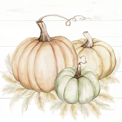 Pumpkin trio tökös szalvéta 3 rétegű 20 db/csomag