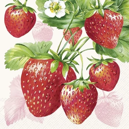 Strawberry fruits epres szalvéta 3 rétegű 20 db/csomag