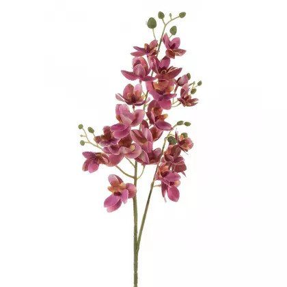 orchidea-muvirag-rozsaszin-hs423843