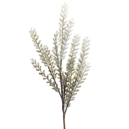natura-397-munoveny-oszi-es-teli-dekoraciohoz-menta-hs429994
