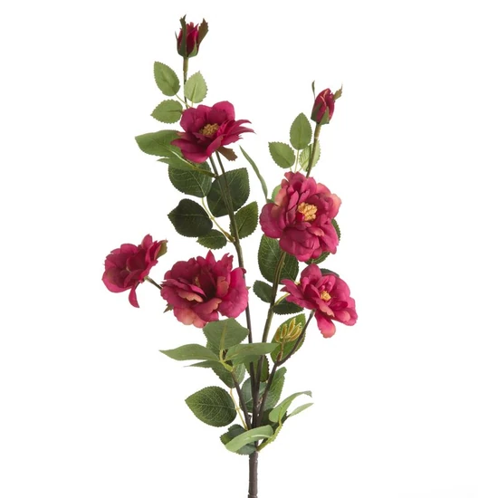 Rózsa 428 Magenta