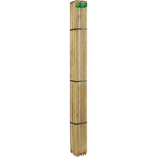 ACACIA - Akác termesztő karó h. 150 cm