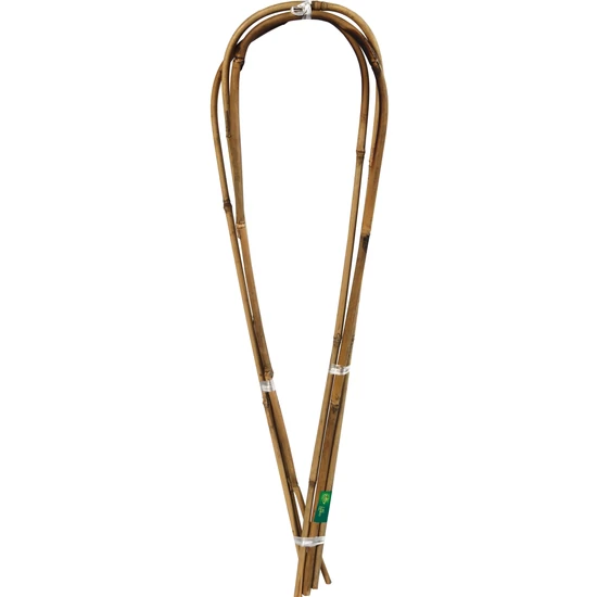 ARC BAMBOO - Ívelt bambusz karó 0,6 m bambusz (3 db/köteg)