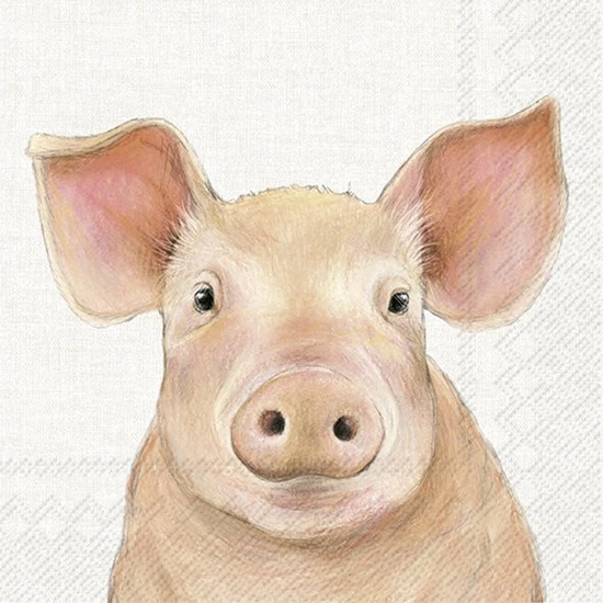 Farm pig malacos szalvéta 3 rétegű 20 db/csomag