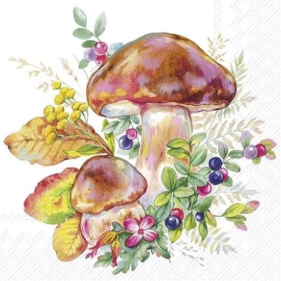Mushroom season gombás szalvéta 3 rétegű 20 db/csomag
