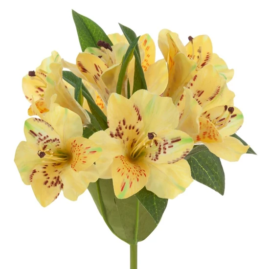 liliom-muvirag-385-sarga