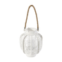 Lampion-tenger Lampion-tenger