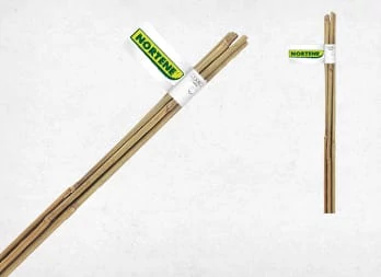 BAMBOO - Bambusz termesztő karó, kötegekben 1,5 m bambusz