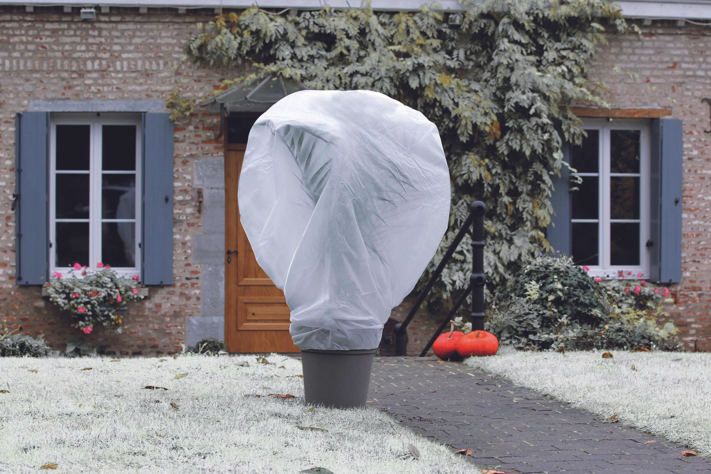 WINTERTEX 50 - Nem szőtt textília növények fagykár elleni védelmére  1,6 x 5  m fehér