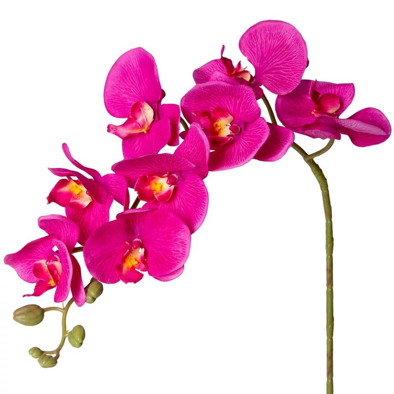 Orchidea művirág 232 magenta